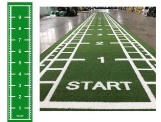 Customized Gym Turf